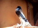 IMG_20140608_164940