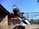 IMG_20140608_164727