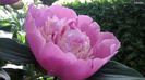20140524_101146