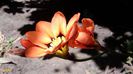 20140525_130058