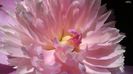 20140525_130246
