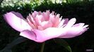 20140525_130325