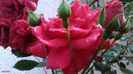 20140601_161127