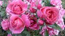 20140603_122022