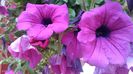 20140604_121627