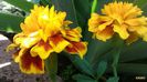 20140604_122655