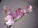 2014-05-31 18.20.27