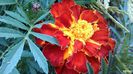 20140604_153932