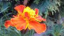 20140605_122304