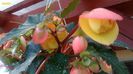 20140605_122744