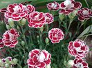 IMG_20140603_104235