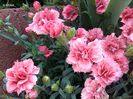 IMG_20140603_104250