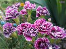 IMG_20140603_104429