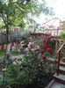 DSC02854