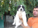 SAM_1689