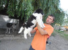 SAM_1694