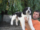 SAM_1695