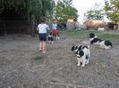 SAM_1696