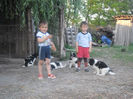 SAM_1697
