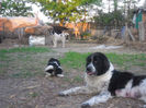 SAM_1705