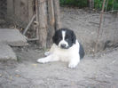 SAM_1708
