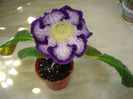 DSC09357