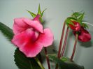 DSC09318