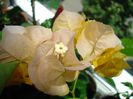 DSC09404