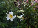 iunie 2014 072