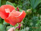 DSCN7939