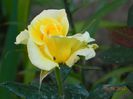DSCN7969