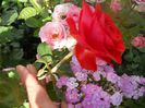DSCN6291