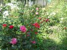 DSCN6325