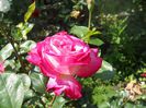DSCN6327