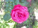 DSCN6331
