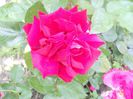 DSCN6332