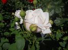 DSCN6347