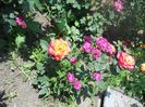 DSCN6374