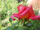 DSCN6397