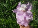 DSCN6309