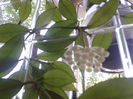 20140609_121808