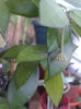 20140609_121826