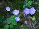 DSCN0064