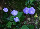 DSCN0065