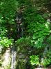 DSCN0069