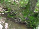 DSCN0071
