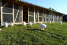 SAM_0781