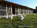 SAM_0777