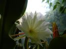 DSCN7582