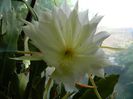 DSCN7585